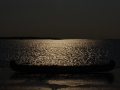 IMGP7855-1