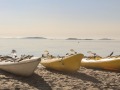 27-IMG_9027