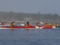 IMG_6021-9