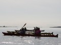 IMG_6382
